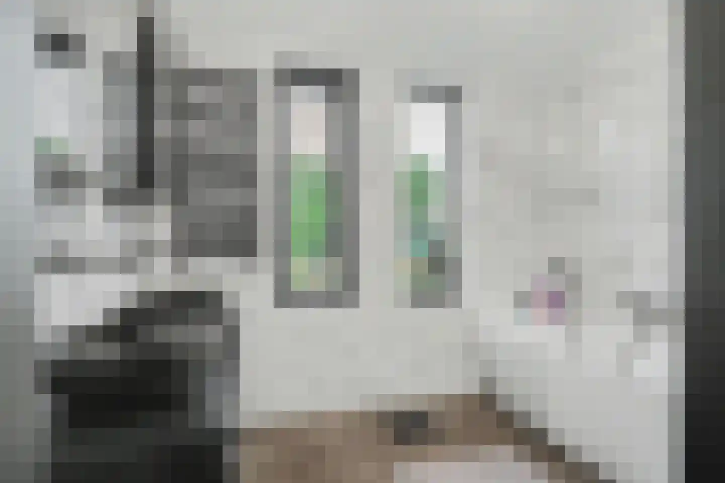 Oudeweg 13 Reeuwijk thumbnail 5