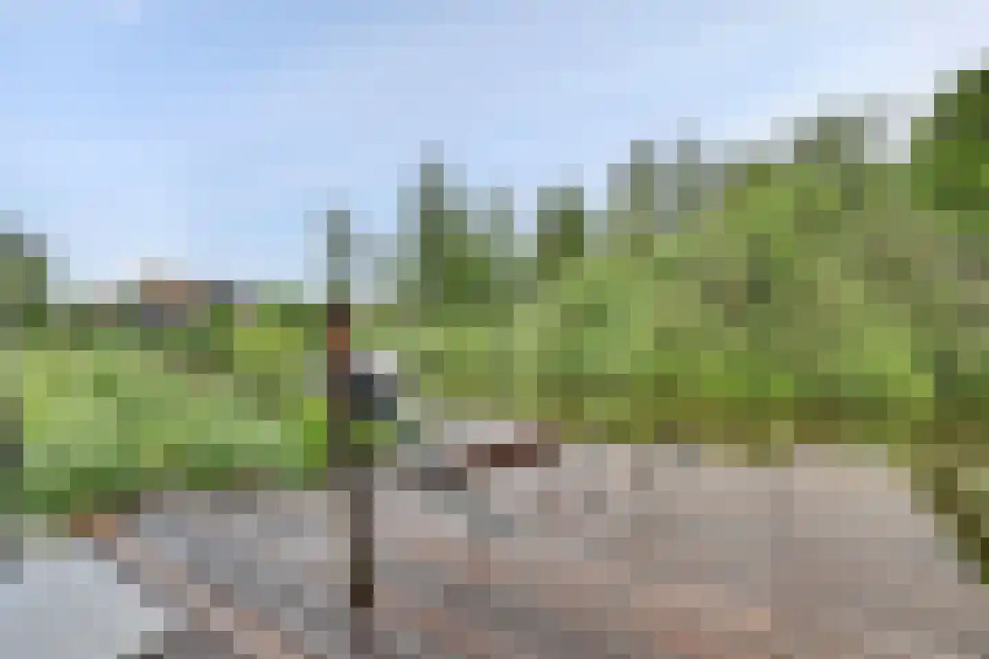 Oudeweg 13 Reeuwijk thumbnail 57