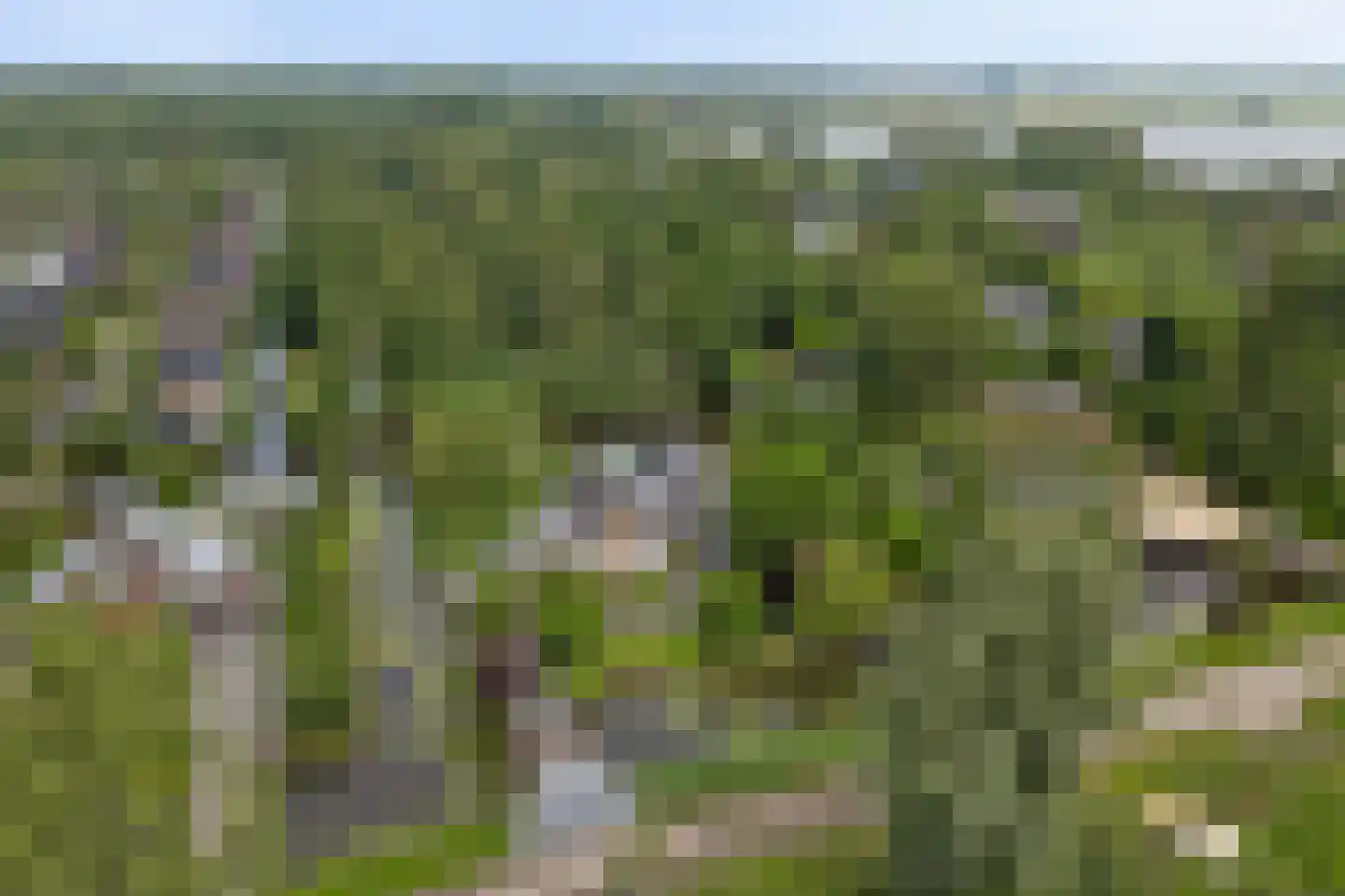 Oudeweg 13 Reeuwijk thumbnail 60