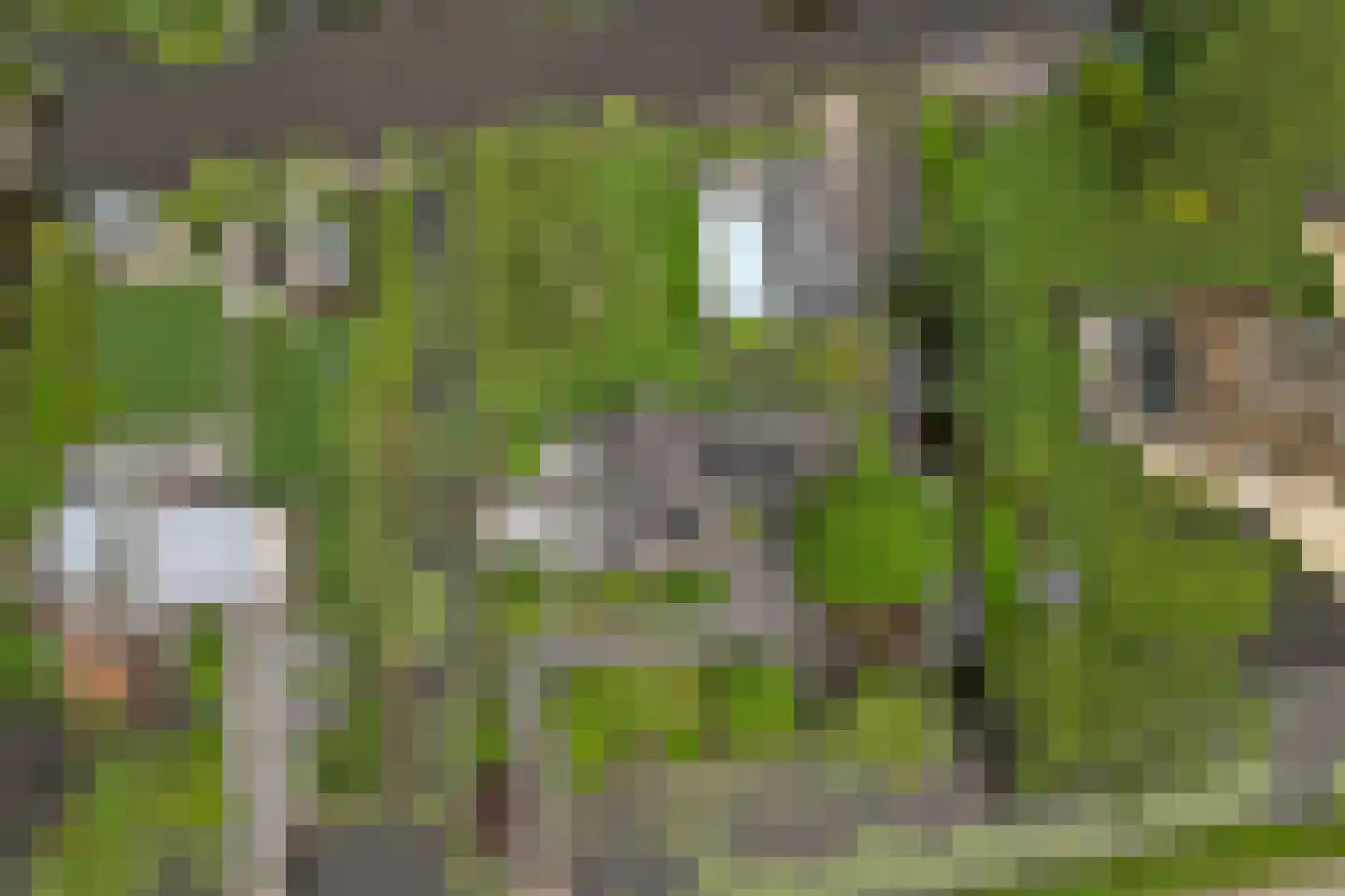 Oudeweg 13 Reeuwijk thumbnail 61