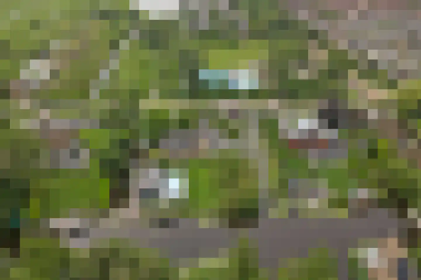 Oudeweg 13 Reeuwijk thumbnail 62