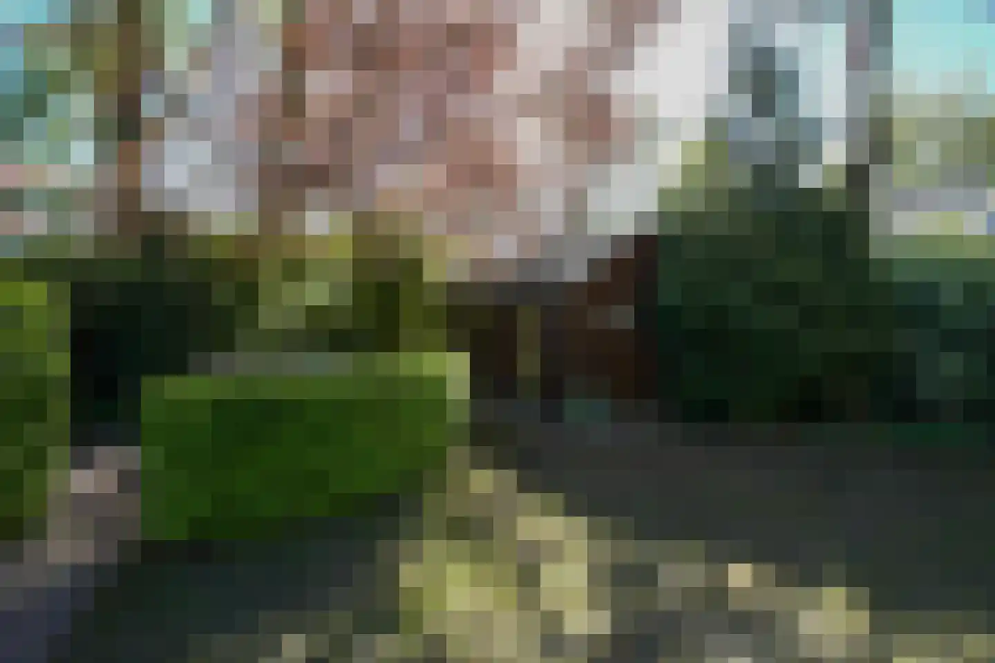Oudeweg 136 Drachten thumbnail 40