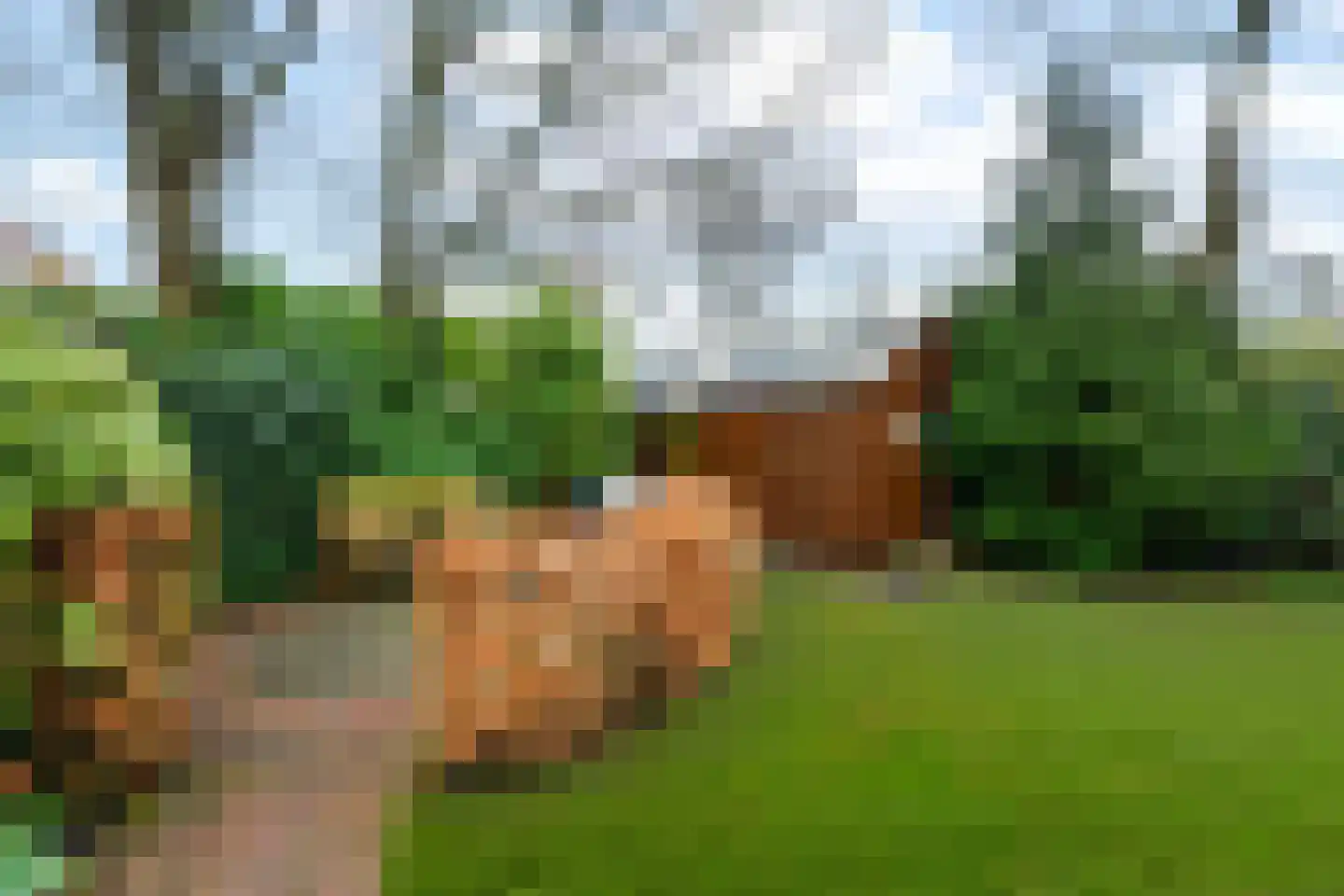 Oudeweg 136 Drachten thumbnail 43
