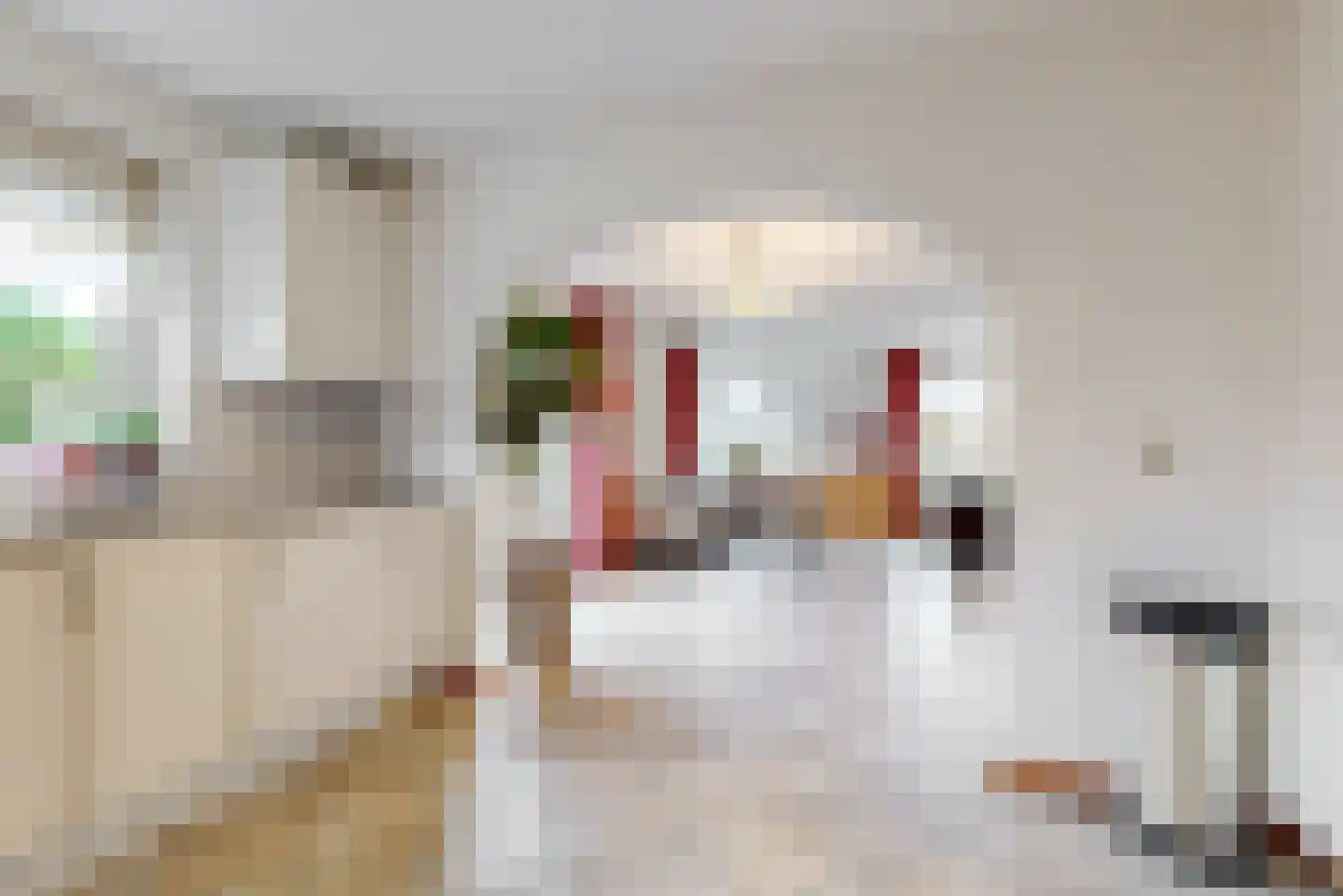 Oudeweg 14 Limmen thumbnail 17