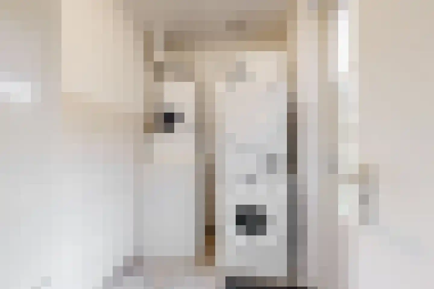 Oudeweg 14 Limmen thumbnail 29