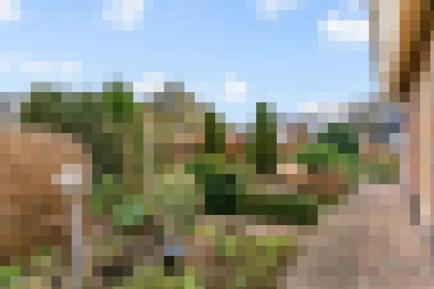 Oudeweg 14 Limmen thumbnail 34
