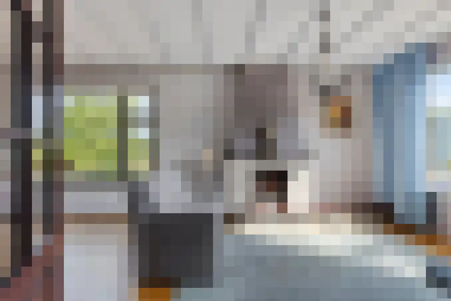Oudeweg 15 Zierikzee thumbnail 5