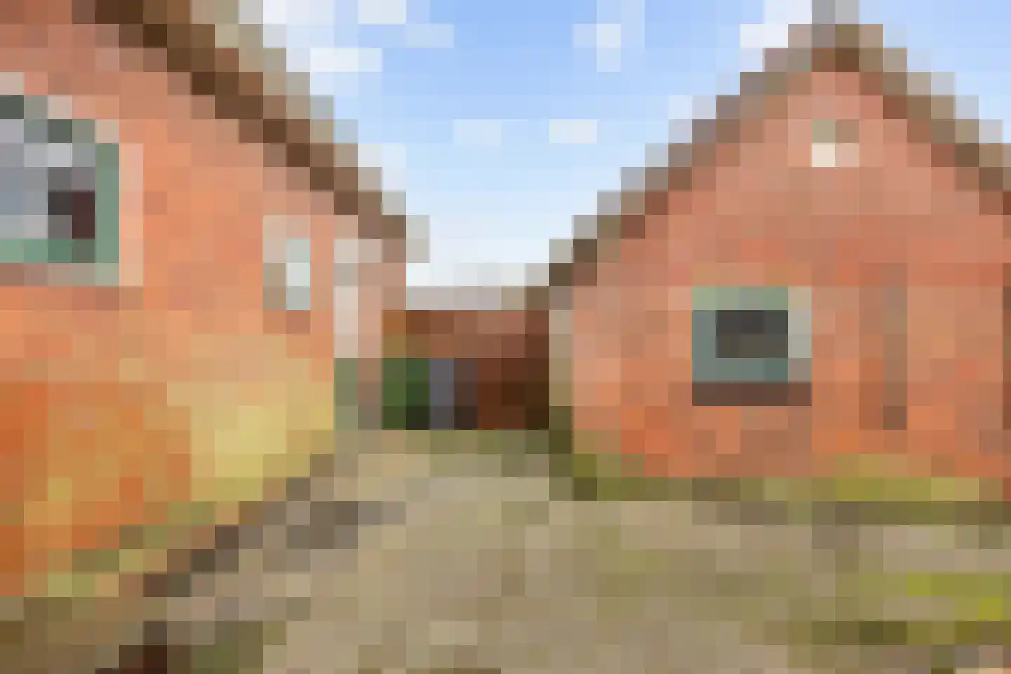 Oudeweg 154 Siddeburen thumbnail 21