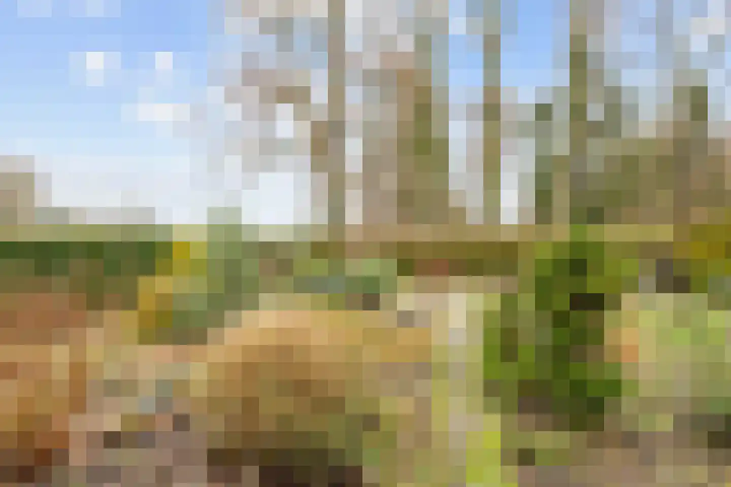 Oudeweg 154 Siddeburen thumbnail 23