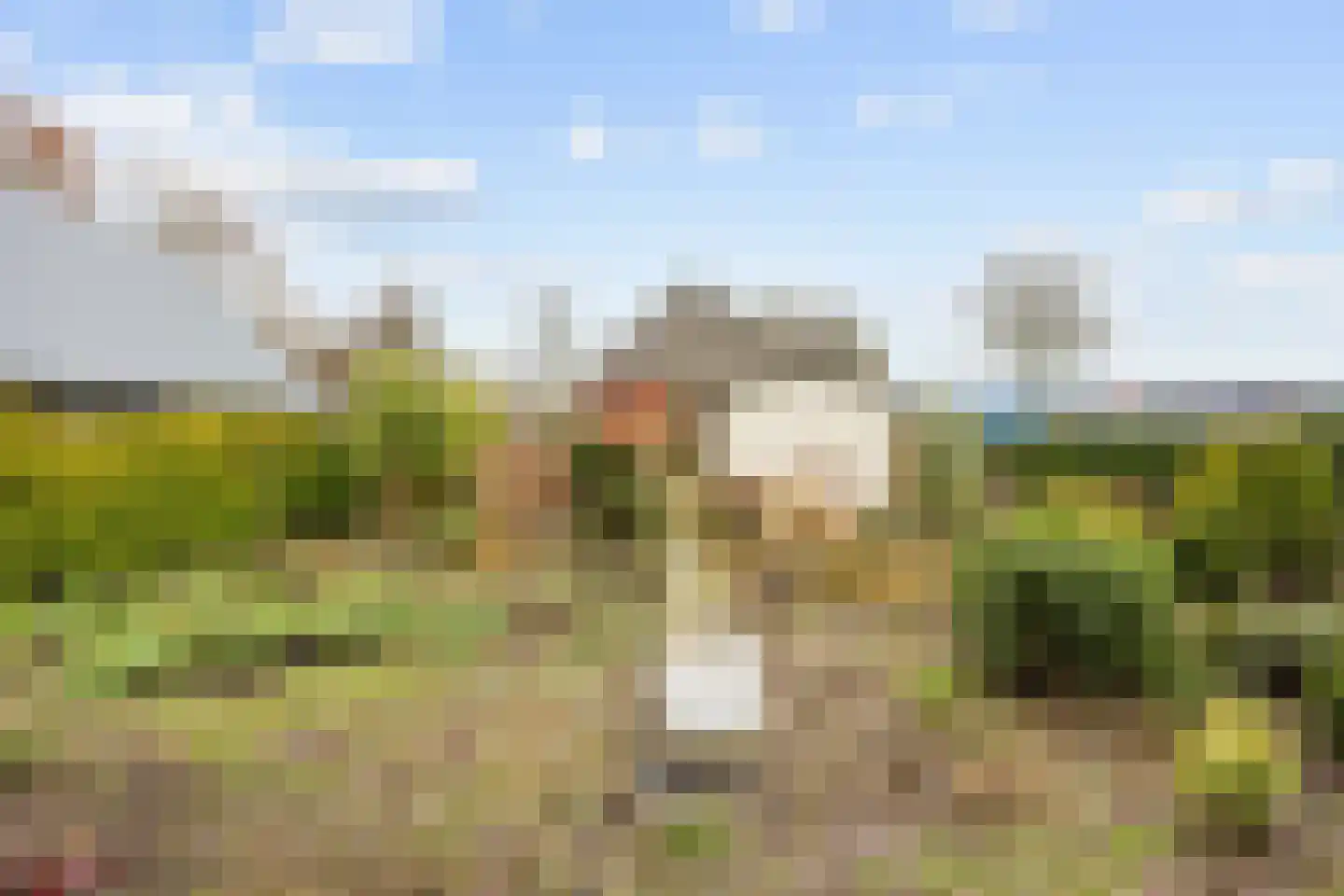 Oudeweg 154 Siddeburen thumbnail 24