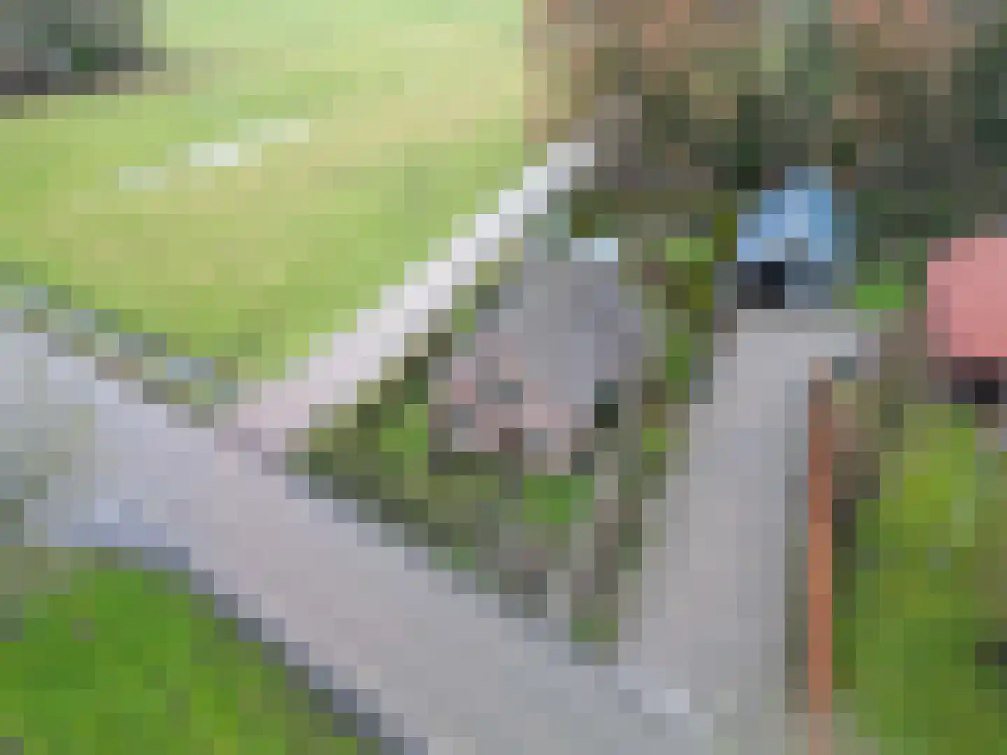 Oudeweg 154 Siddeburen thumbnail 26