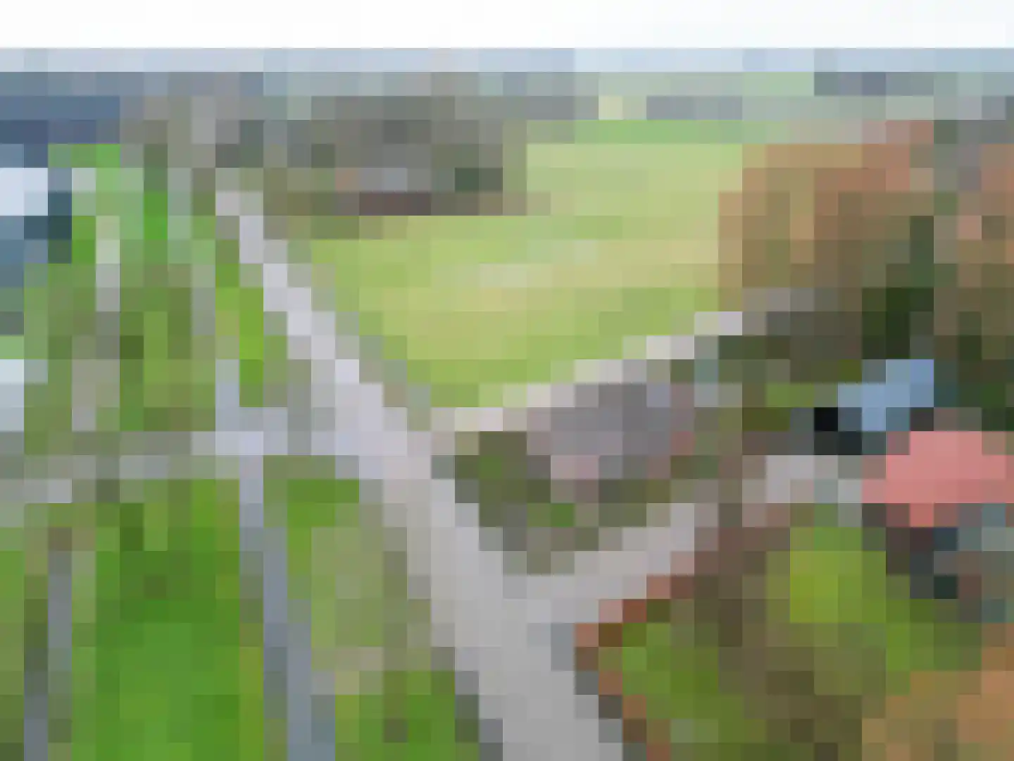 Oudeweg 154 Siddeburen thumbnail 27