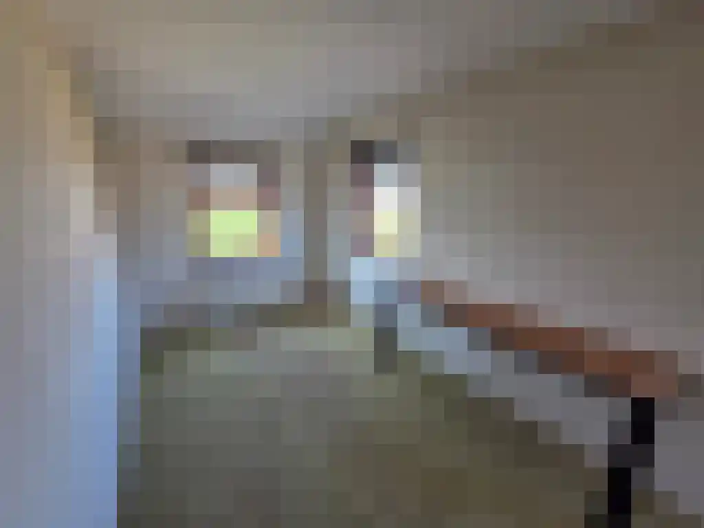 Oudeweg 16 Nootdorp thumbnail 8