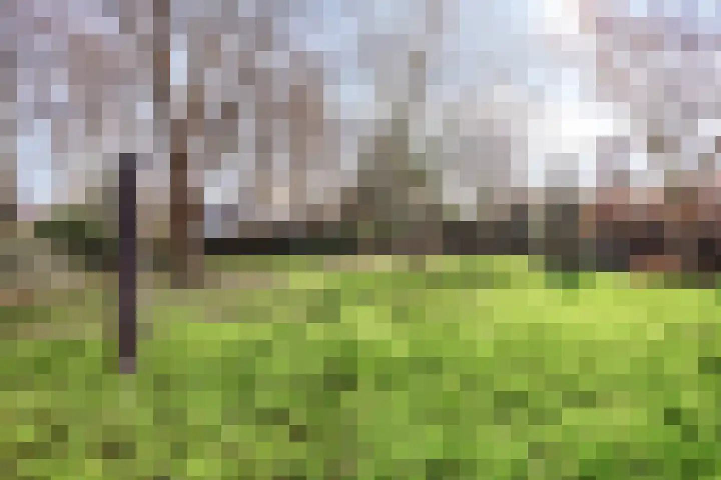 Oudeweg 18 Axel thumbnail 6