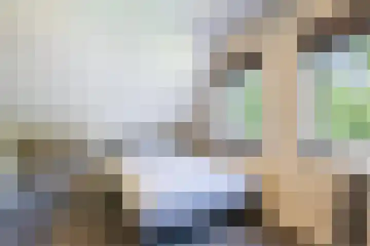 Oudeweg 18 Mariënberg thumbnail 32