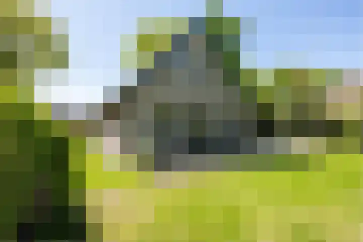Oudeweg 18 Mariënberg thumbnail 42
