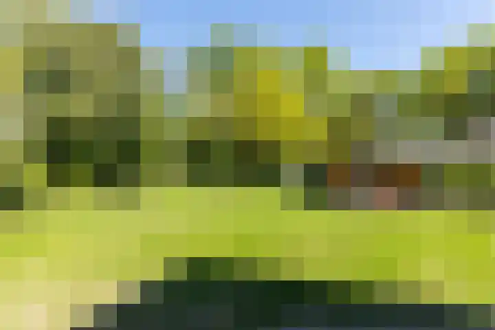 Oudeweg 18 Mariënberg thumbnail 43