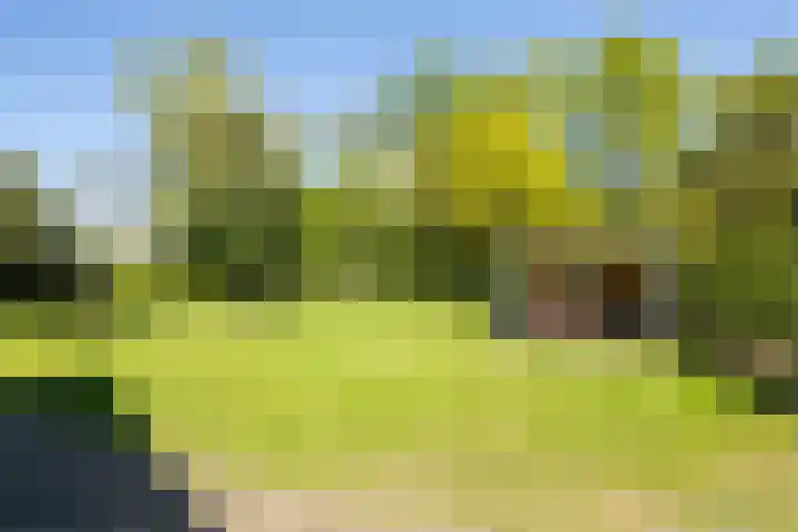 Oudeweg 18 Mariënberg thumbnail 44