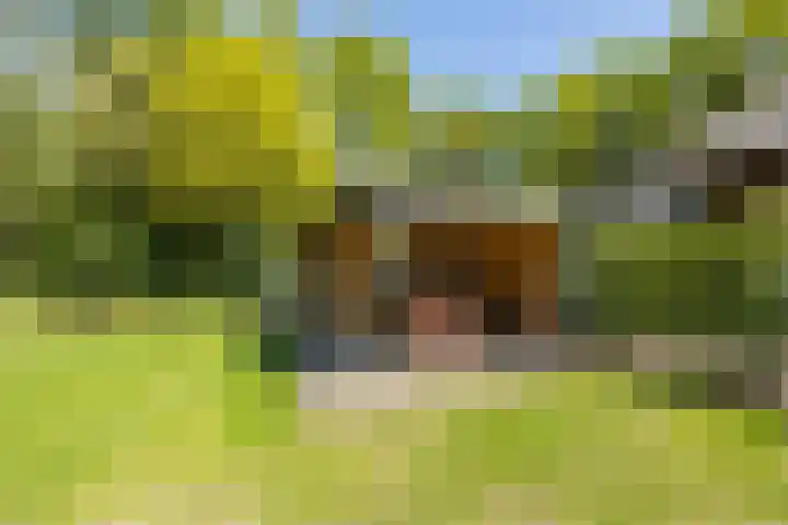 Oudeweg 18 Mariënberg thumbnail 45