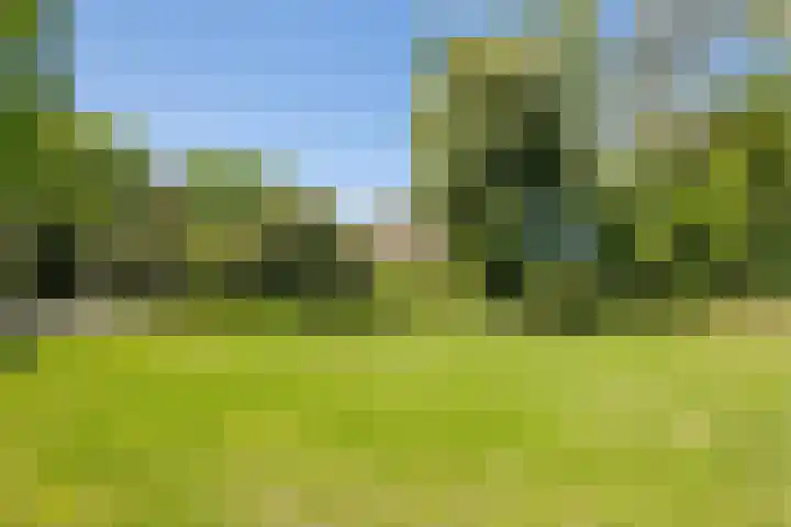 Oudeweg 18 Mariënberg thumbnail 46