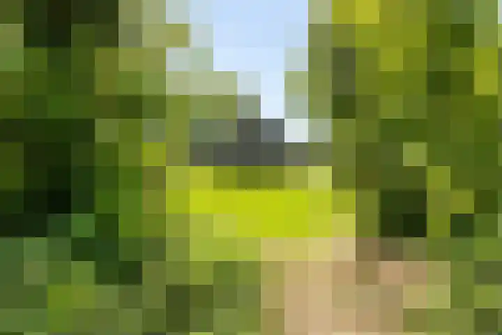 Oudeweg 18 Mariënberg thumbnail 47