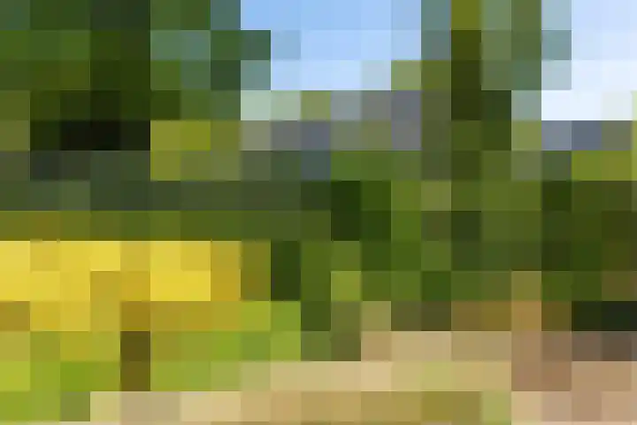 Oudeweg 18 Mariënberg thumbnail 48