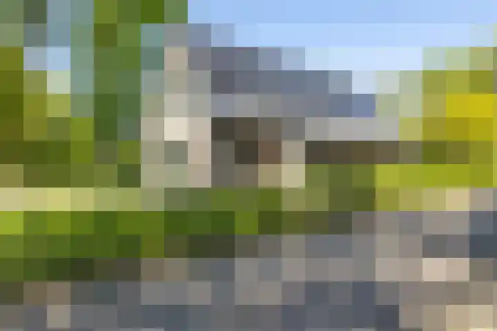 Oudeweg 18 Mariënberg thumbnail 49