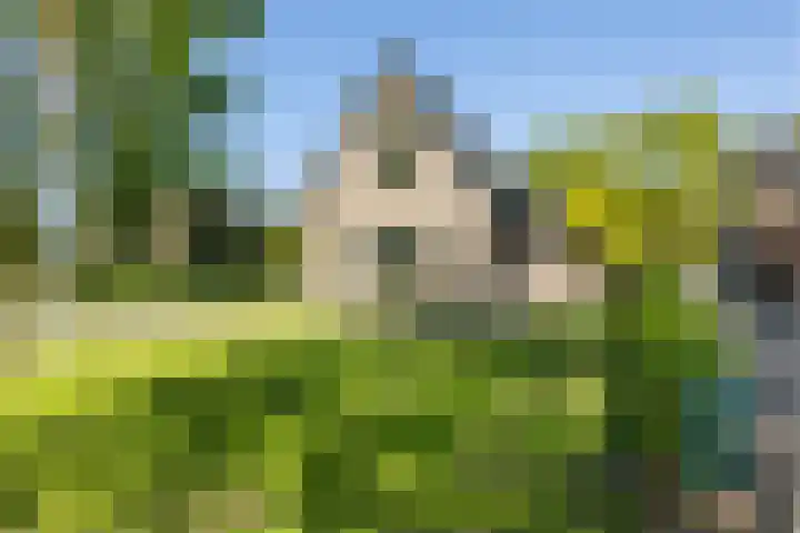 Oudeweg 18 Mariënberg thumbnail 50