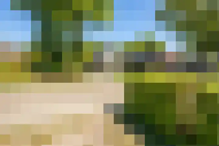 Oudeweg 18 Mariënberg thumbnail 51
