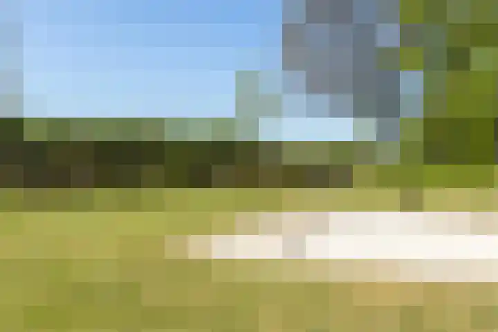 Oudeweg 18 Mariënberg thumbnail 53