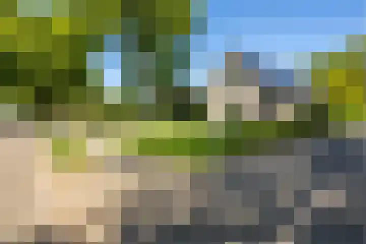 Oudeweg 18 Mariënberg thumbnail 7