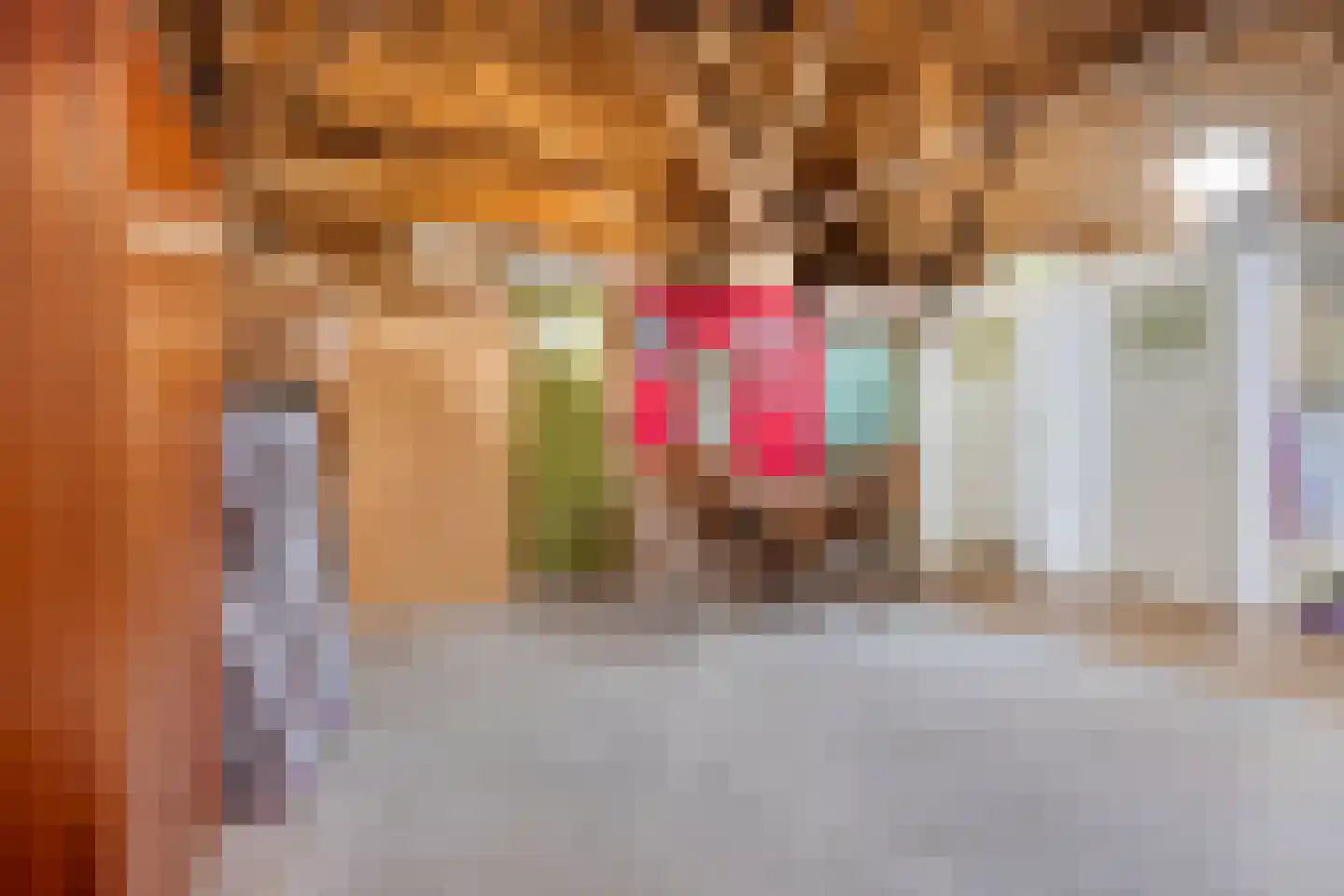 Oudeweg 19 Ossenzijl thumbnail 21