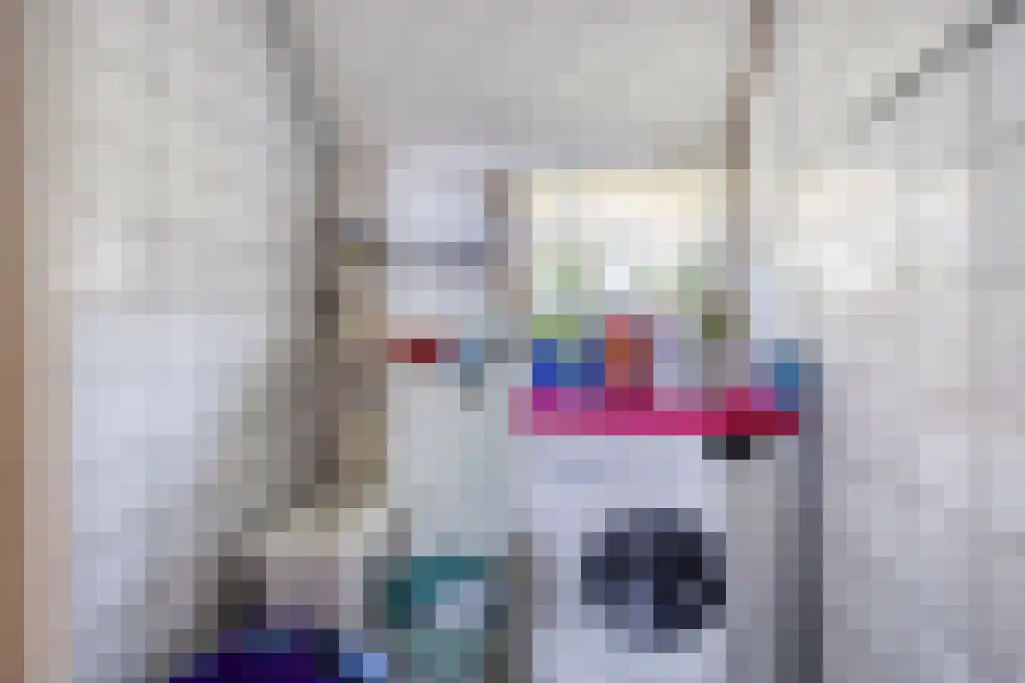 Oudeweg 19 Ossenzijl thumbnail 22