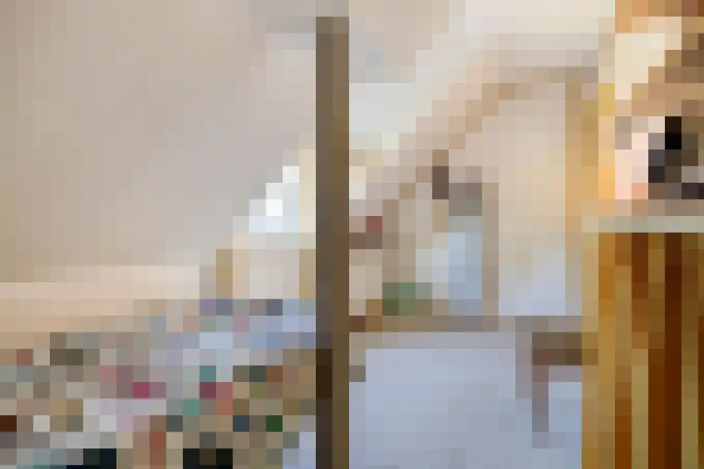 Oudeweg 19 Ossenzijl thumbnail 31