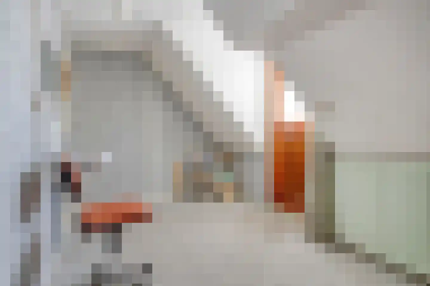 Oudeweg 19 Ossenzijl thumbnail 36