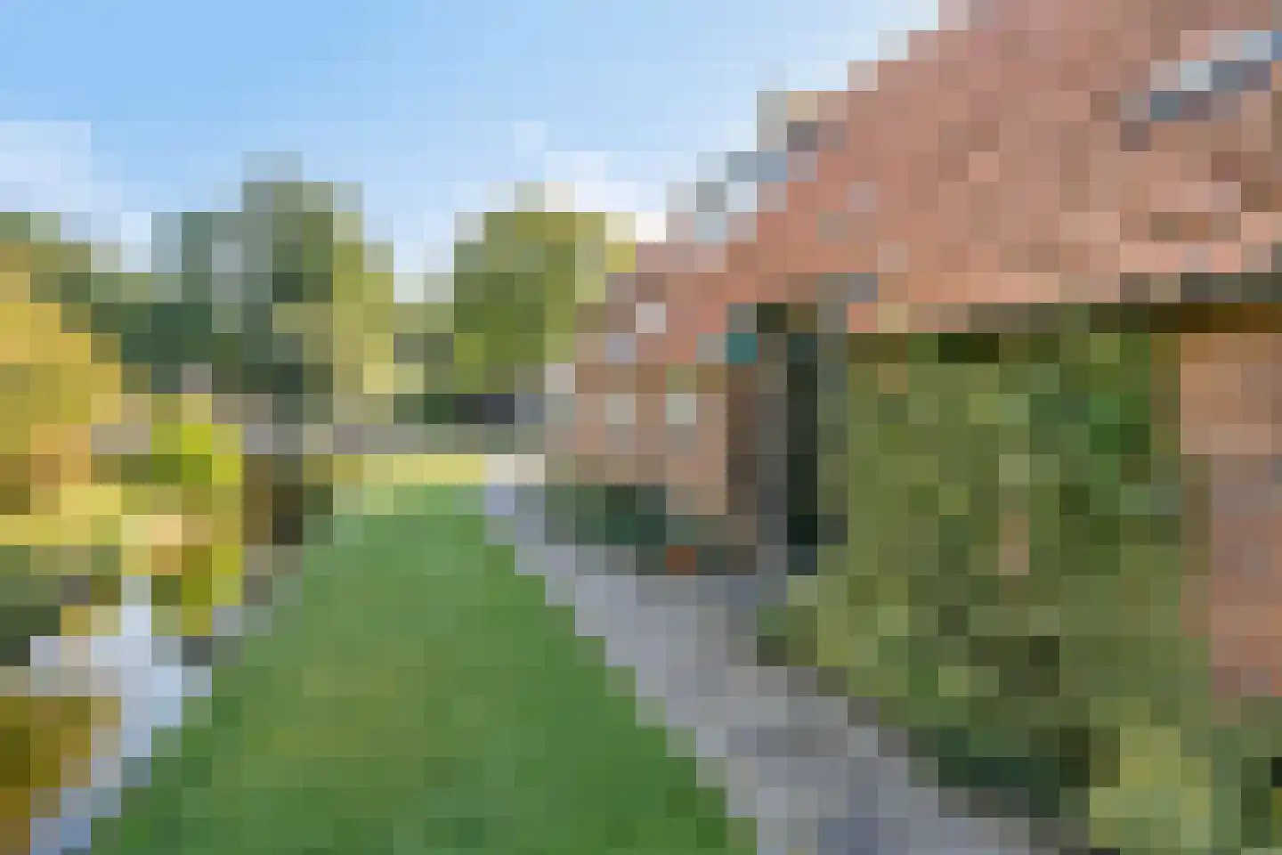 Oudeweg 19 Ossenzijl thumbnail 47