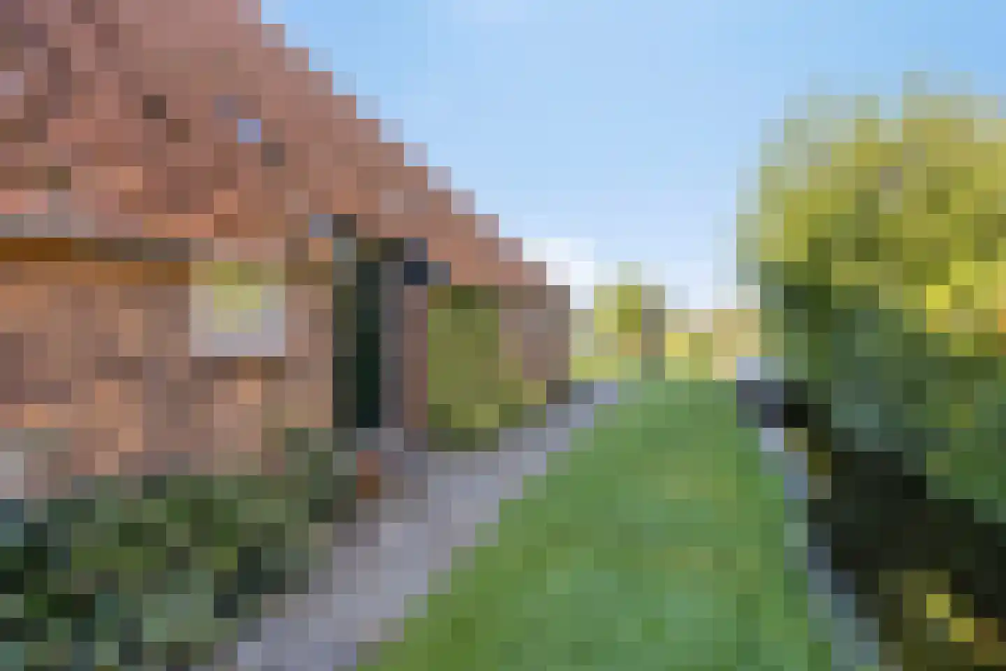 Oudeweg 19 Ossenzijl thumbnail 48