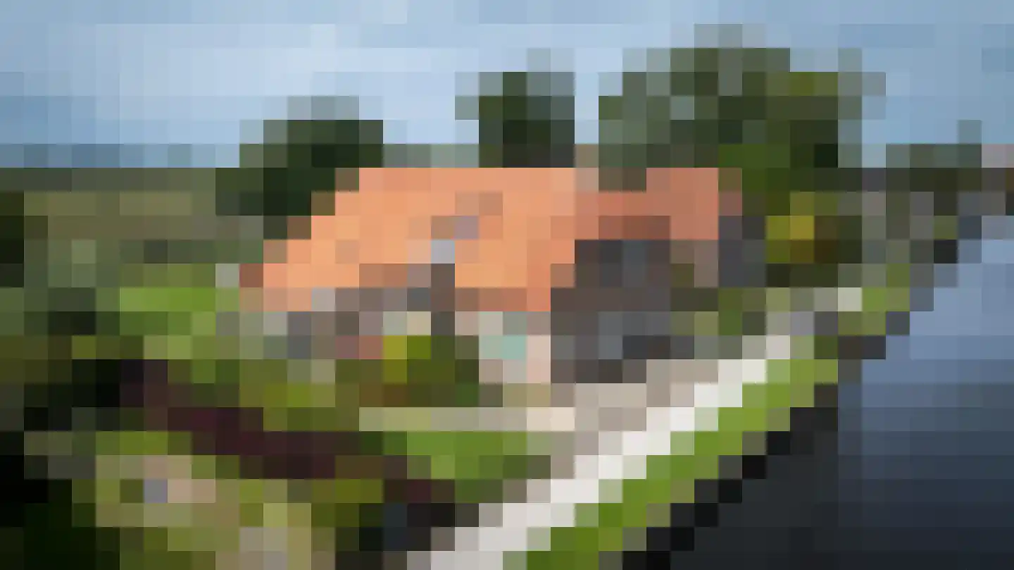 Oudeweg 19 Ossenzijl thumbnail 57