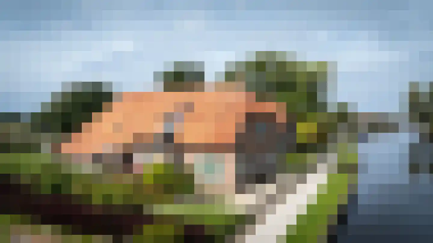 Oudeweg 19 Ossenzijl thumbnail 58