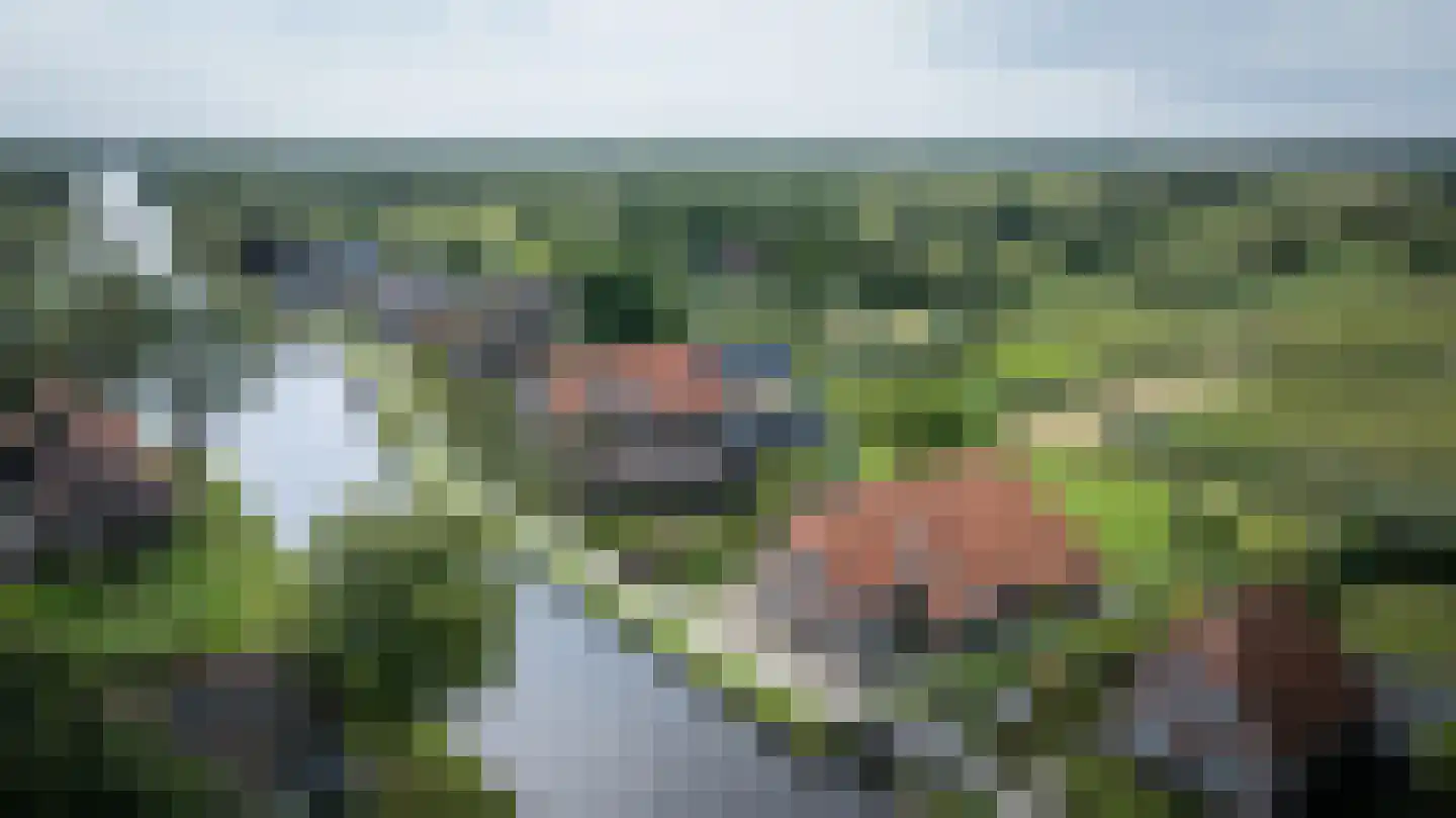 Oudeweg 19 Ossenzijl thumbnail 64