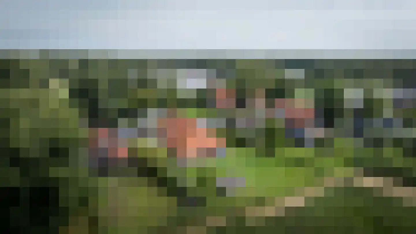 Oudeweg 19 Ossenzijl thumbnail 68