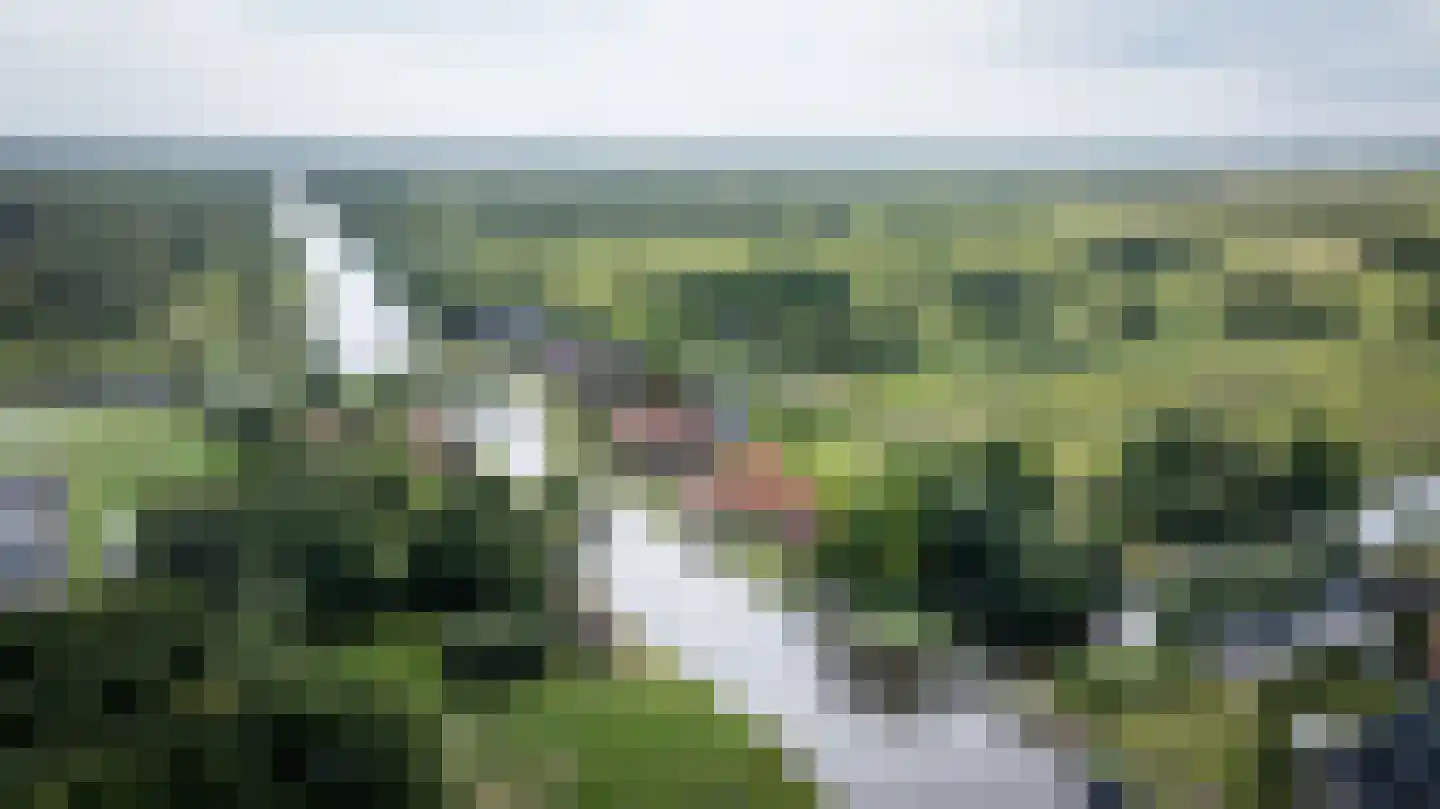 Oudeweg 19 Ossenzijl thumbnail 69