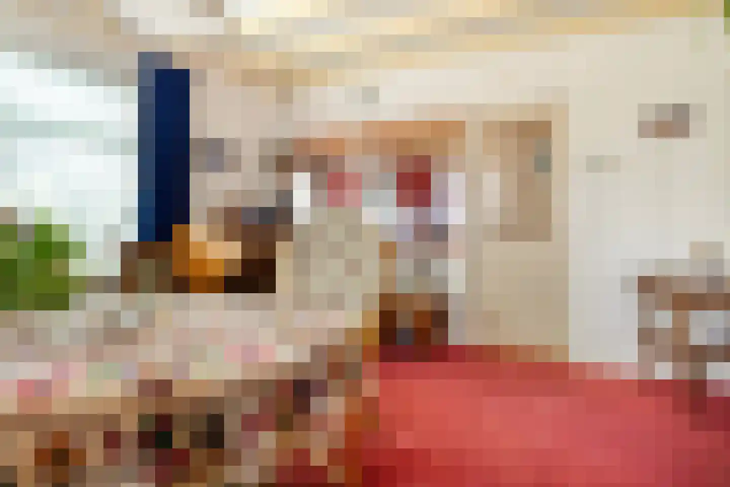 Oudeweg 19 Ossenzijl thumbnail 7