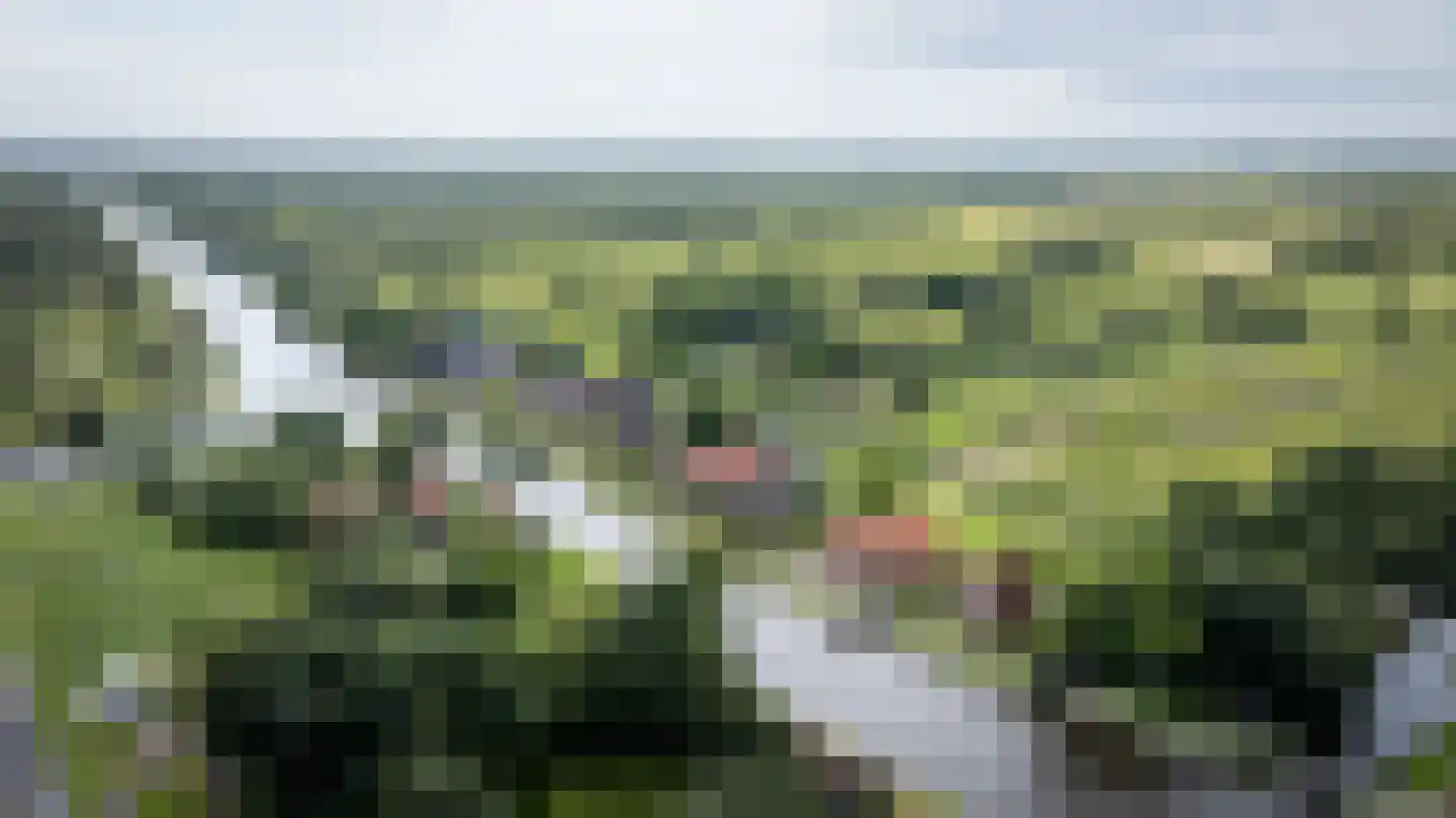 Oudeweg 19 Ossenzijl thumbnail 70