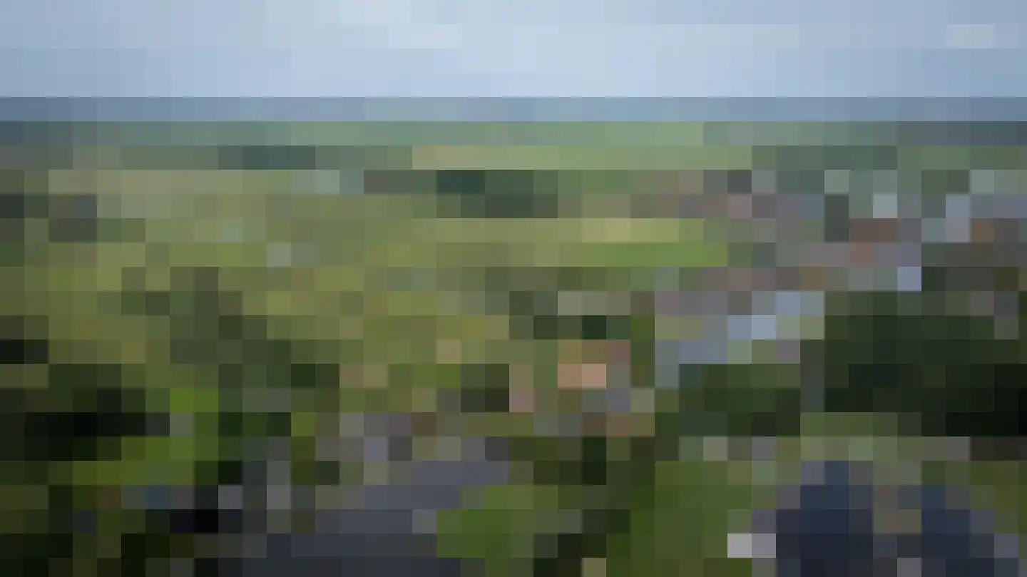 Oudeweg 19 Ossenzijl thumbnail 77