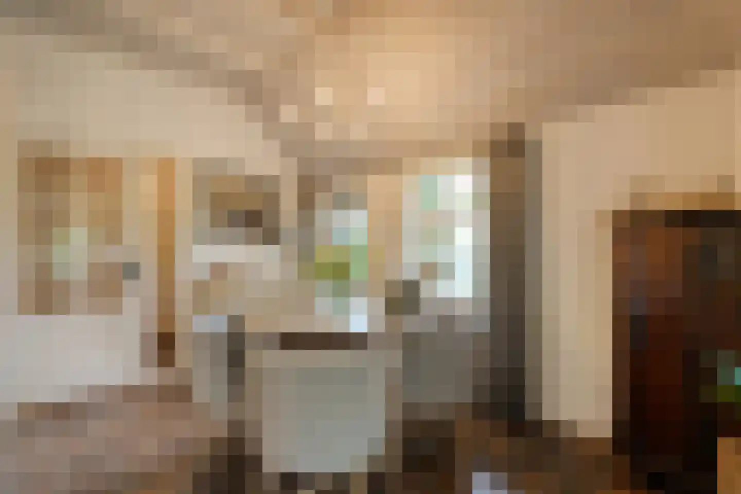 Oudeweg 21 Ossenzijl thumbnail 10