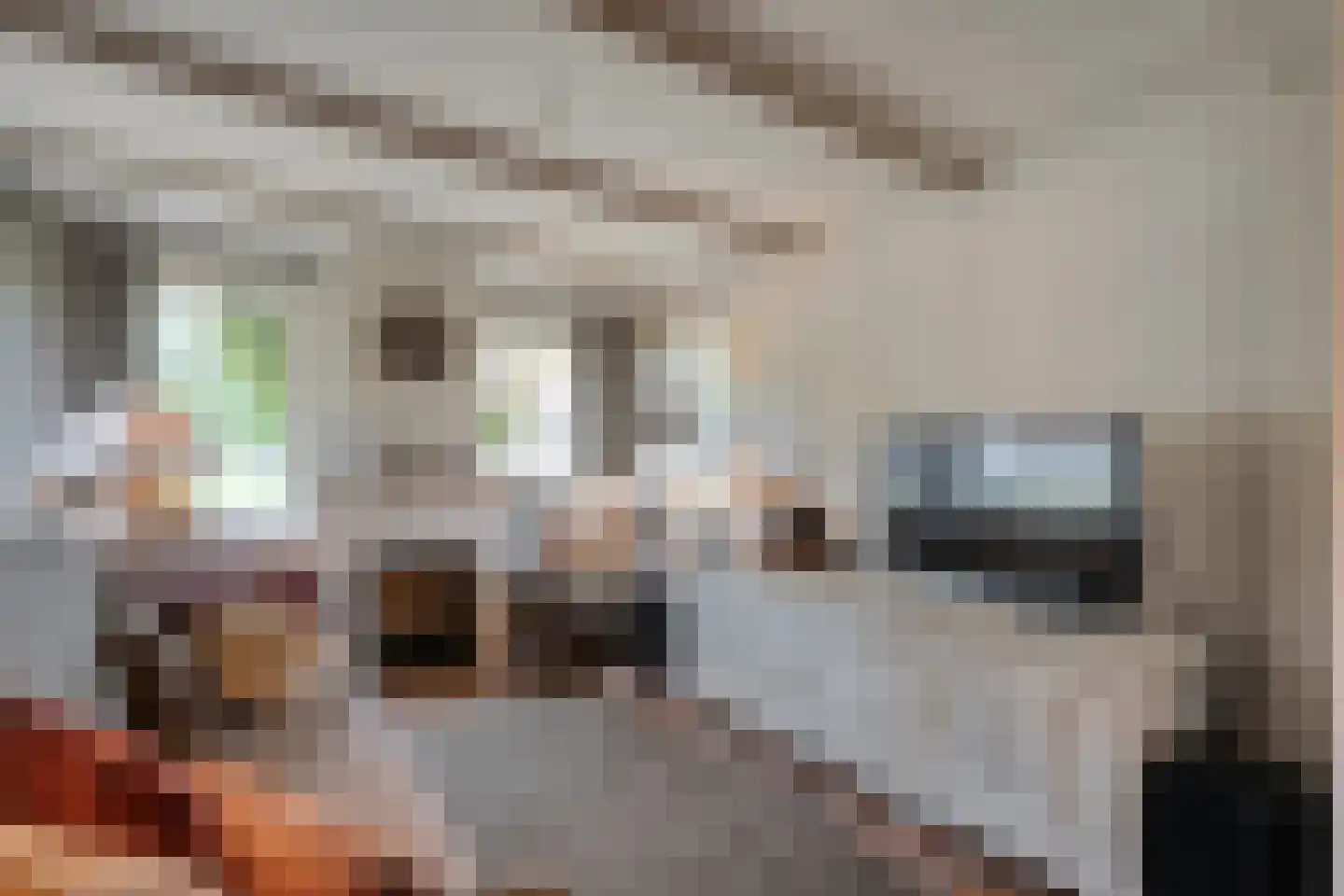 Oudeweg 21 Ossenzijl thumbnail 12