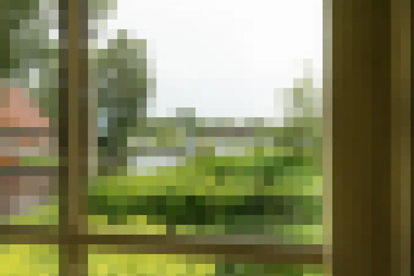 Oudeweg 21 Ossenzijl thumbnail 13
