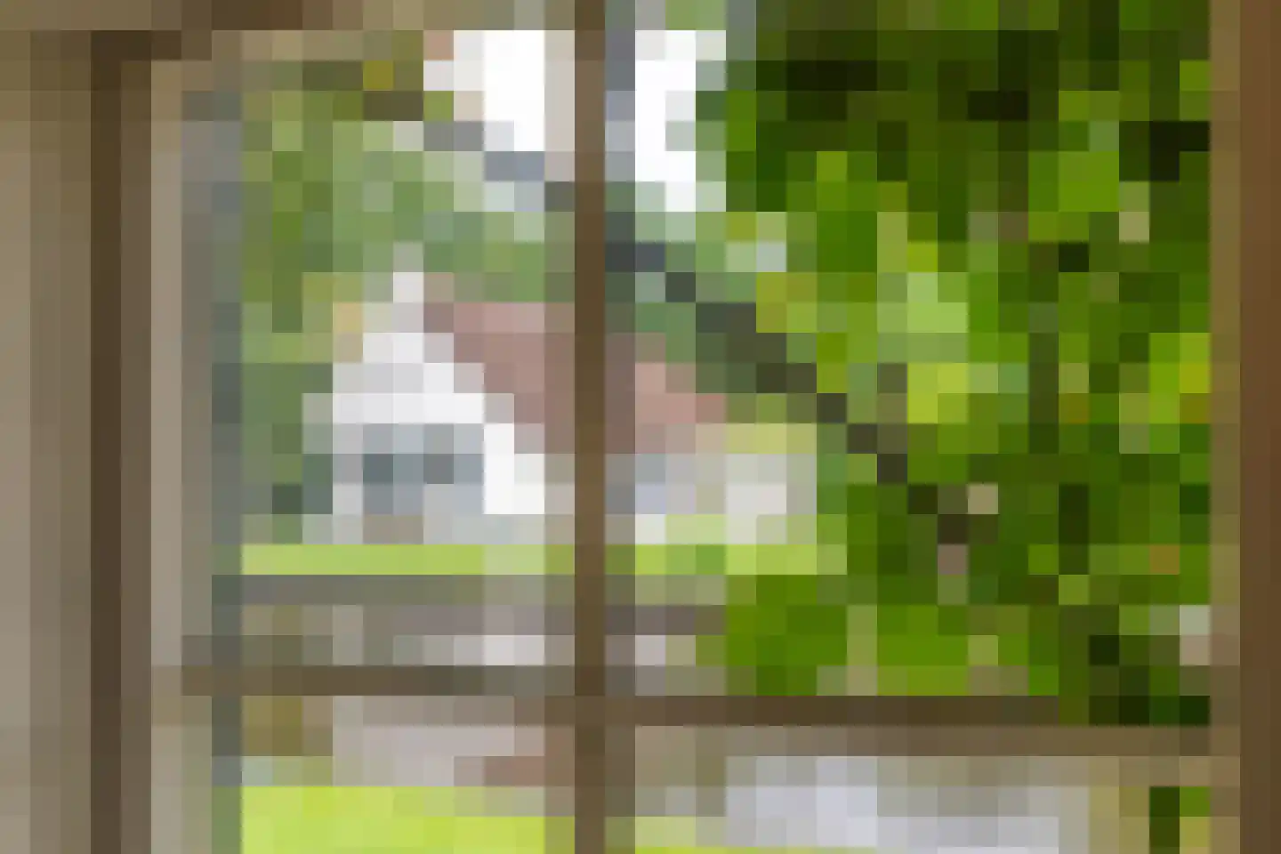 Oudeweg 21 Ossenzijl thumbnail 14