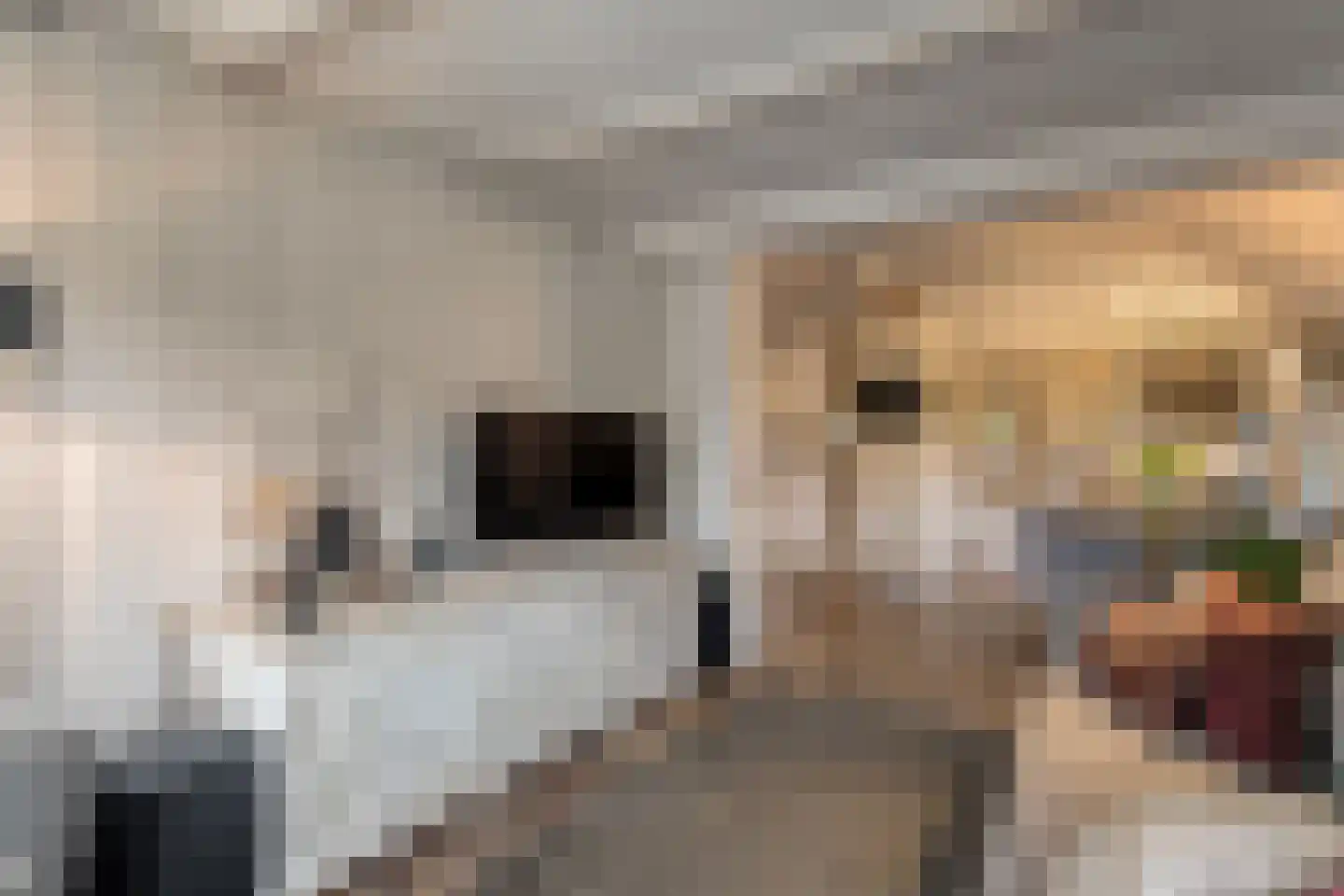 Oudeweg 21 Ossenzijl thumbnail 15